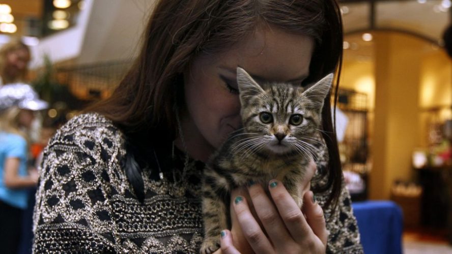 VIDEO : Watch: Furry friends go to the movies in new pet-friendly cinema