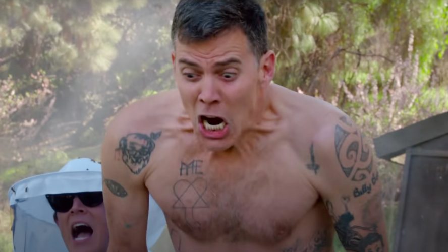 Jackass Star Chris Pontius Tried To Break A Bottle Over Steve-O's Head, And The Video Of Him Failing Is So Painful