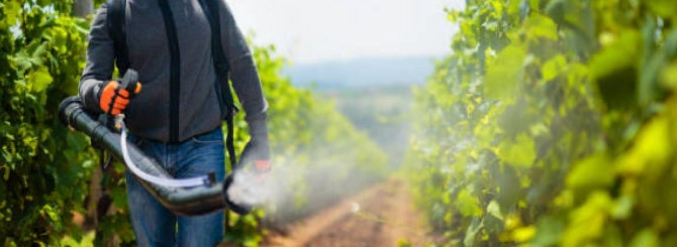 Herbicide the Star of New Napa Movie | Wine-Searcher News & Features