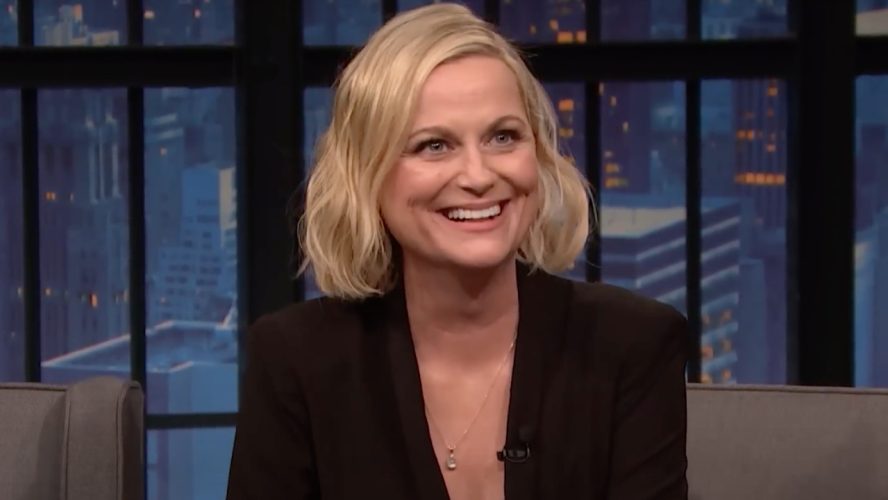 32 Funny and Iconic Amy Poehler Quotes From Movies and TV