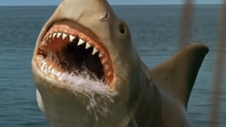 After Watching All 4 Jaws Movies, Here's The Best And Worst Thing About Each Sequel