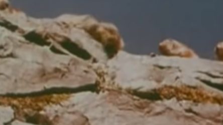 I Knew The Story About The Disney Documentary And The Lemmings, But I Just Found Out It's Even More Disturbing Than I Realized