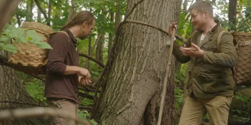 New film focuses on Abenaki wild foods