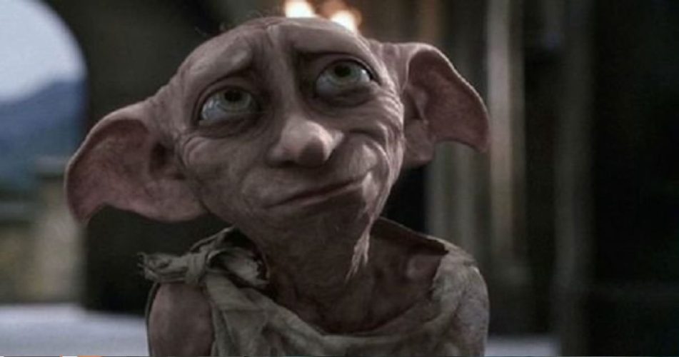 Memorial to Harry Potter's Dobby the Elf Will Not Be Removed After Review