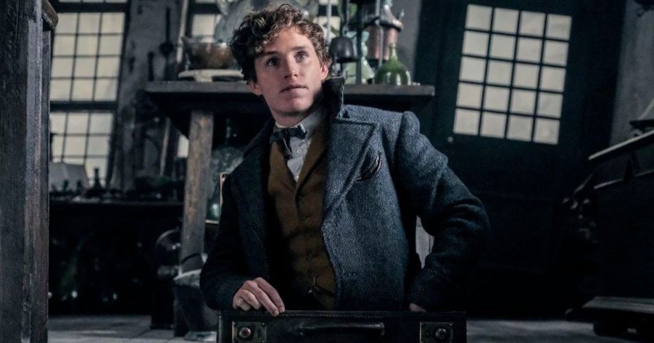 'Fantastic Beasts' Star Eddie Redmayne Addresses The Future of Harry Potter Franchise