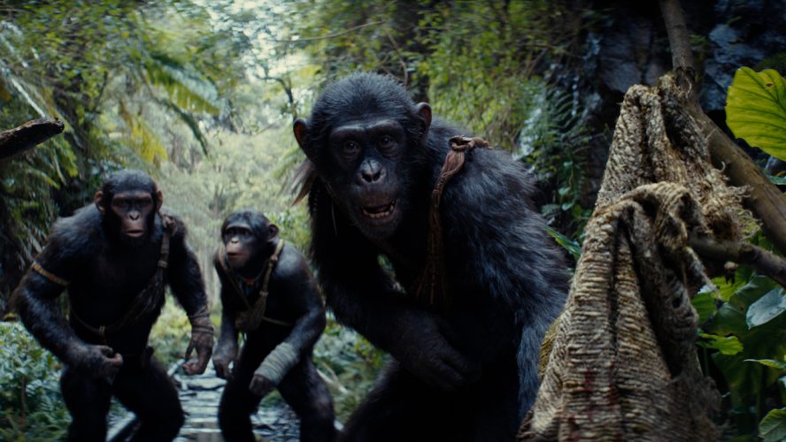 Kingdom Of The Planet Of The Apes Director Explains His View On The Franchise Timeline Between The Caesar Trilogy And His Movie