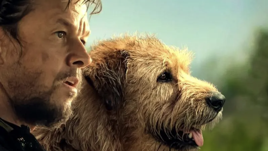Of Course, I Had To Ask Arthur The King’s Ali Suliman, 'Who Is A Better Co-Star: The Dog Or Mark Wahlberg?’