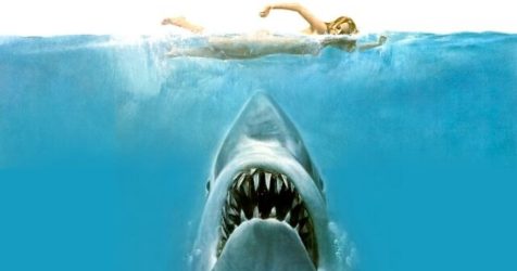 Steven Spielberg 'Truly' Regrets the Influence Jaws Had on the 'Decimation of the Shark Population'