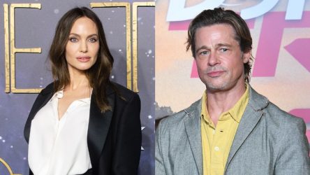 After Angelina Jolie Makes Abuse Allegations, A Source For Brad Pitt Speaks Out