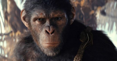 Weekend Box Office Results: Kingdom of the Planet of the Apes Reigns Supreme
