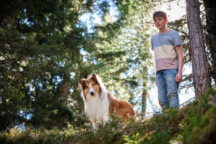 Global Screen Boards Sales On ‘Lassie – A New Adventure’, Releases First Image Ahead Of AFM