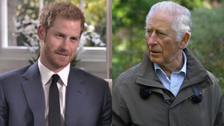 Insider Drops Claims About Why Prince Harry And King Charles' Relationship Has ‘Deteriorated To A New Low Level’