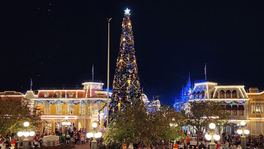 Walt Disney World Has Over 600 Decorated Trees For The Holidays, And You’ll Want To Take A Closer Look At Each One