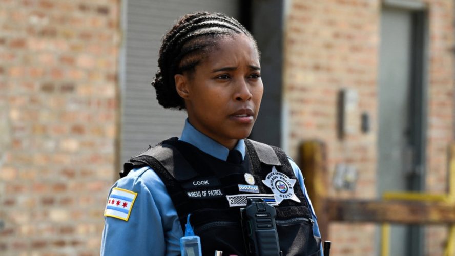 Chicago P.D.'s Newest Regular Was A New Amsterdam Star First, And I Totally See Why One Chicago Is 'So Hot' In Comparison