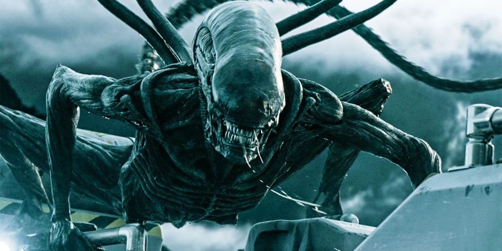 'Alien: Covenant's Katherine Waterston Thinks Daniels Survived Pod Ending