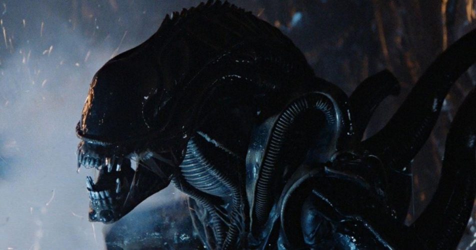 New Alien Movie Gets Release Date