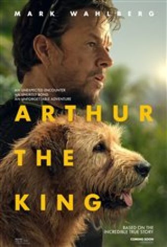 Arthur the King - Coming Soon | Movie Synopsis and Plot