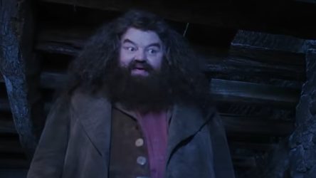 After The Harry Potter Show Officially Casts Hogwarts Staff, I Have One Hagrid-Related Question