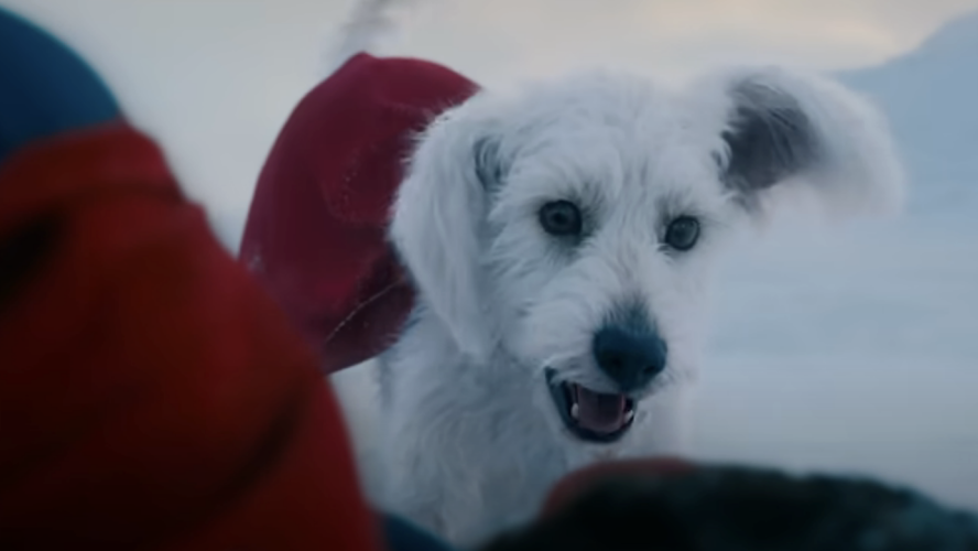 Watch James Gunn’s Dog Go Crazy Watching Superman’s Krypto (Which Was Totally Based Off Him)