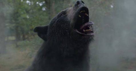 Cocaine Bear: A Wild Drug-Fueled Bear is On the Loose in the First Official Trailer