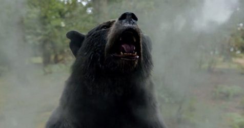 Cocaine Bear TV Spot Reveals More of the Drug-Fueled, Grizzly Chaos