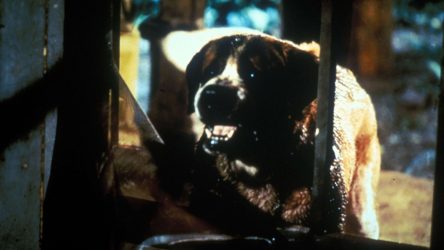 Darren Aronofsky in Talks to Direct ‘Cujo’