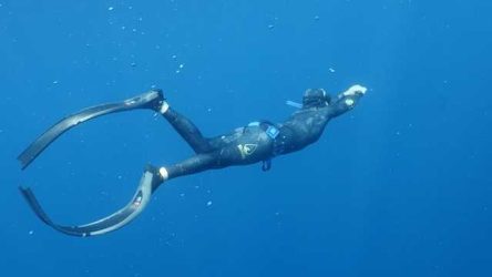 Stuart-based company trained stars to free dive for new 'Avatar' film