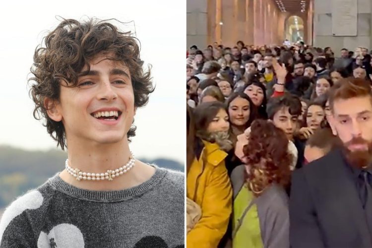 Italian Premiere of Timothée Chalamet's new movie overrun with fans