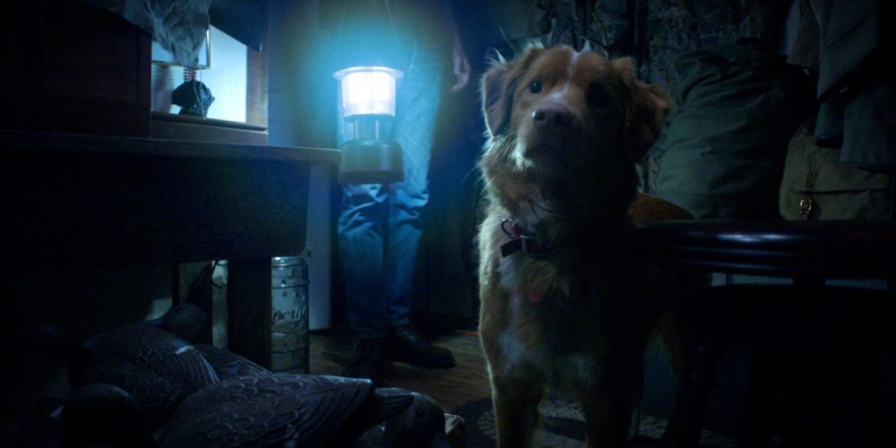 Shudder's 'Good Boy' Tells a Haunted House Tale Through the Eyes of a Dog