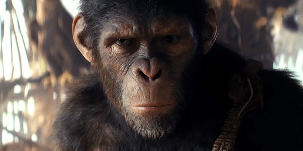 Kingdom of the Planet of the Apes Sets Record Runtime for the Entire Franchise