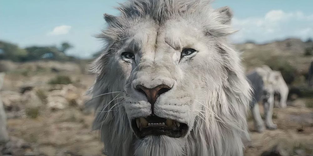 'Mufasa' Beats 'Sonic 3' at Box Office to Win First Weekend of 2025