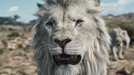 New Mufasa: The Lion King Trailer Unveils Kiara & DVD Sequel Connection