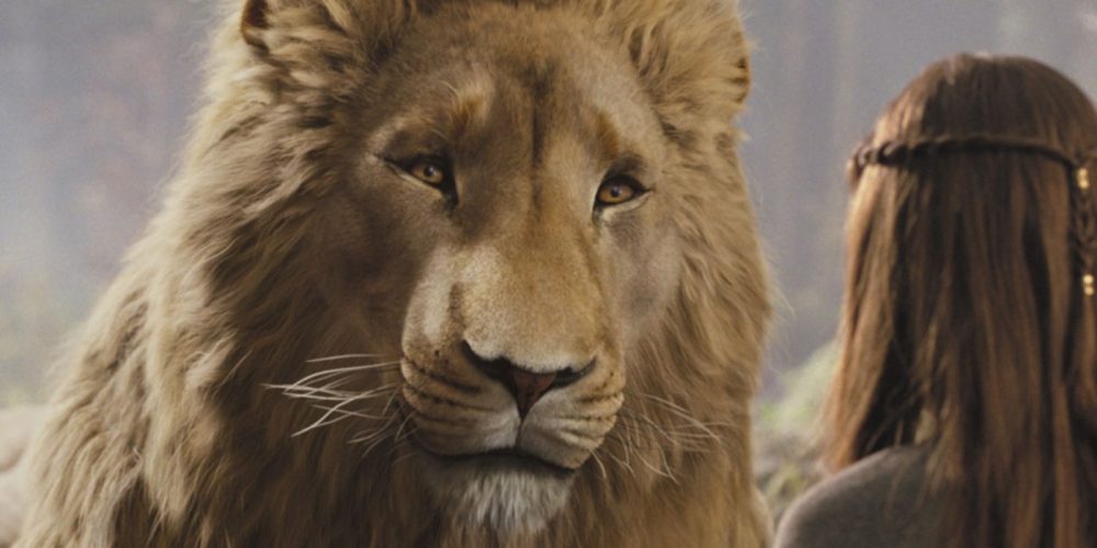 Daniel Craig Offered Role in Greta Gerwig's 'Narnia: The Magician's Nephew' at Netflix