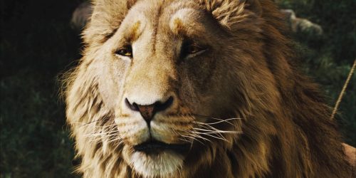 Netflix's 'Narnia' Reportedly Looking To Cast Meryl Streep as Aslan