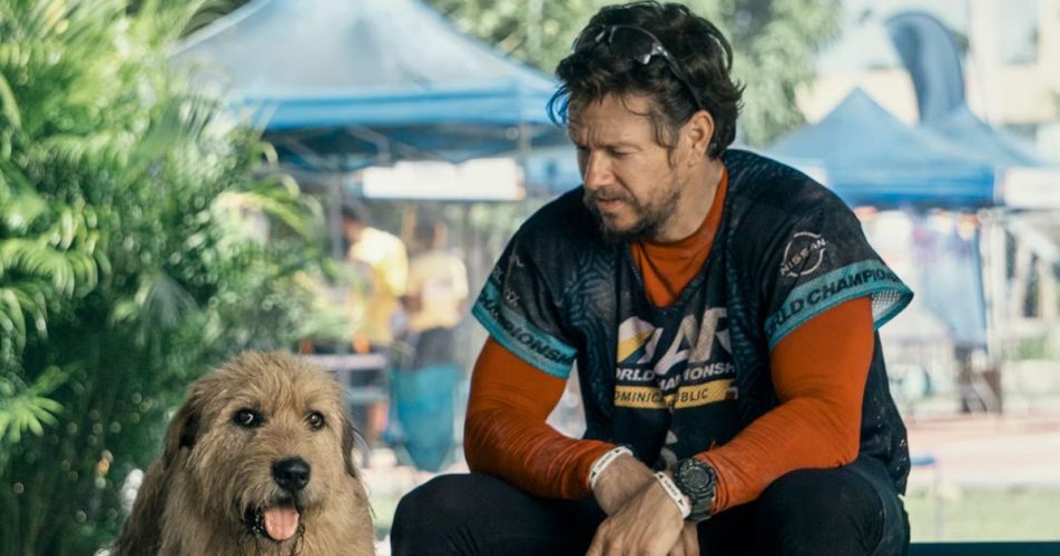 Mark Wahlberg Teams Up With a Courageous Dog in Arthur the King Trailer