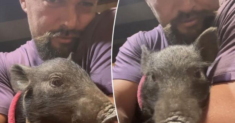 Jason Momoa adopts wild pig after meeting her on the set of his new...