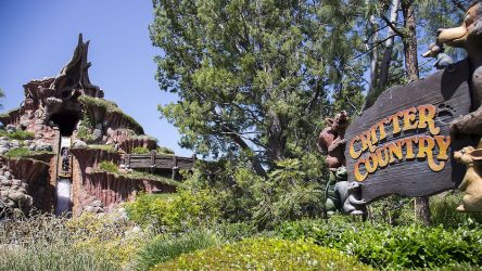 This Viral TikTok Of Disneyland Parkgoer Riding In The Front Of Splash Mountain Flume Is So Relatable