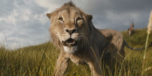 'Mufasa: The Lion King' Gets Underwhelming 58% Rotten Tomatoes Score