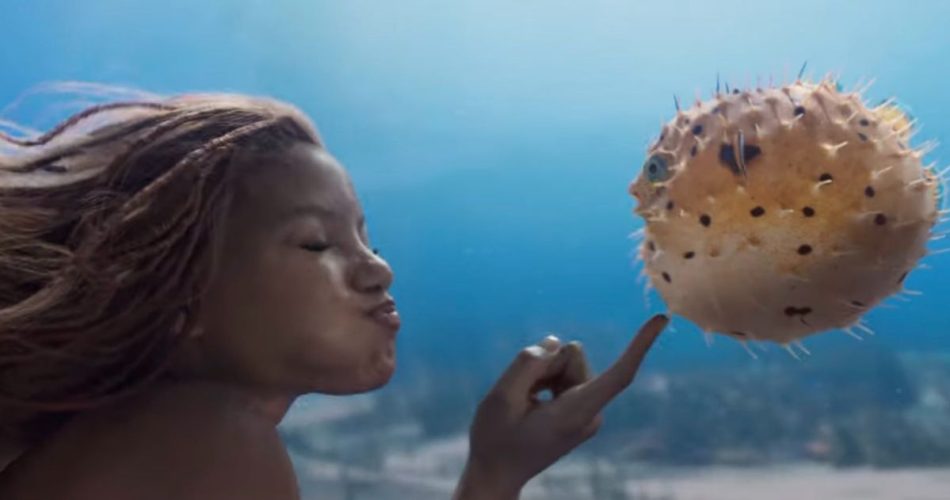 The Little Mermaid Teaser Reveals More of Halle Bailey's Ariel, First Look at Melissa McCarthy's Ursula