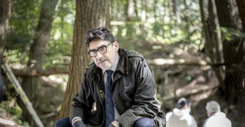 Alfred Molina Grounds Smart Mystery Series on Prime Video