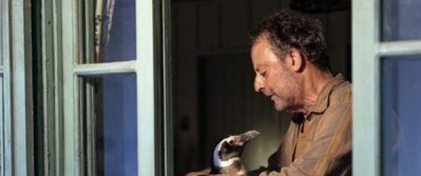 My Penguin Friend
