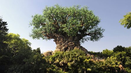 How Disney’s Animal Kingdom Is Preparing The Animals For The Retheme Of Dinoland