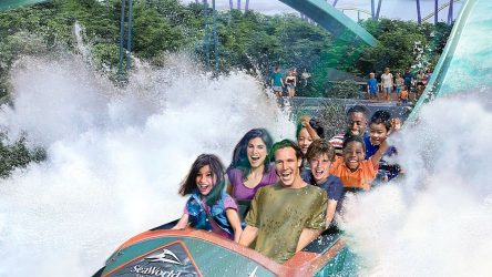 Move Over, Splash Mountain, SeaWorld Is Building A First Of Its Kind Water Ride That Looks Incredible